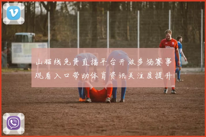 山猫线免费直播平台开放多场赛事观看入口带动体育资讯关注度提升