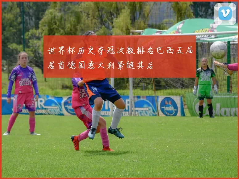 世界杯历史夺冠次数排名巴西五届居首德国意大利紧随其后