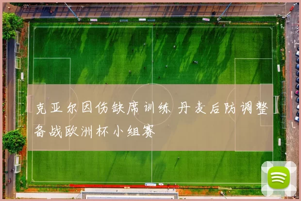克亚尔因伤缺席训练 丹麦后防调整备战欧洲杯小组赛
