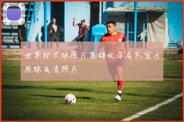 世界杯买球图片集锦收录各队官方用球高清照片