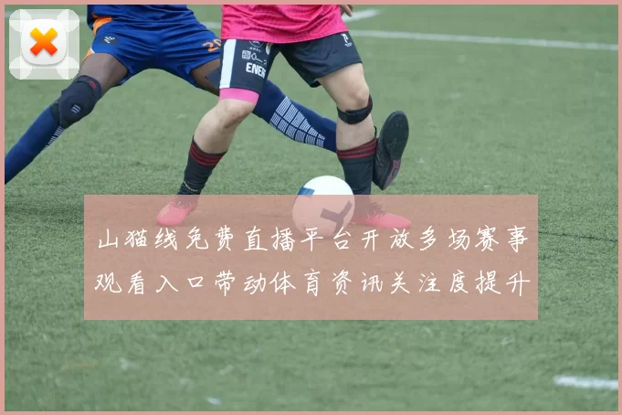 山猫线免费直播平台开放多场赛事观看入口带动体育资讯关注度提升