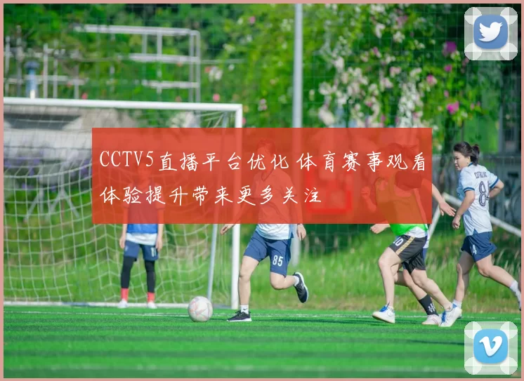 CCTV5直播平台优化 体育赛事观看体验提升带来更多关注