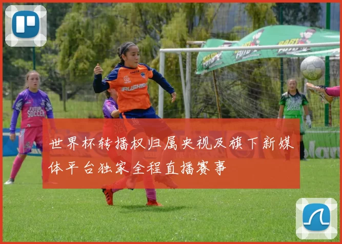 世界杯转播权归属央视及旗下新媒体平台独家全程直播赛事