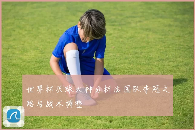 世界杯买球大神分析法国队夺冠之路与战术调整