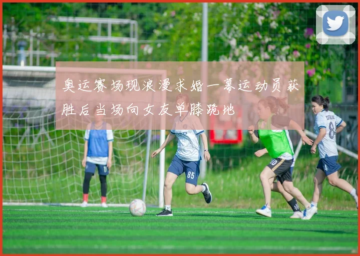 奥运赛场现浪漫求婚一幕运动员获胜后当场向女友单膝跪地