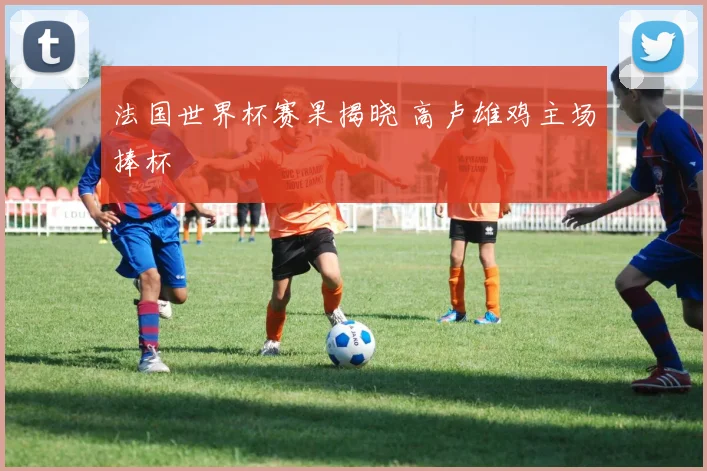 法国世界杯赛果揭晓 高卢雄鸡主场捧杯